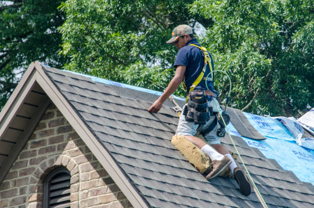 Quick and Trustworthy Emergency Roof Repair Services in Edgemoor, DE
