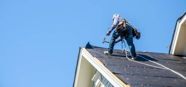 Professional Roofing Contractor in Edgemoor, DE